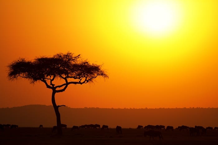 Kenya